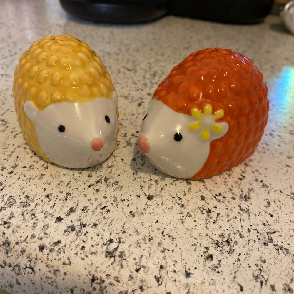 Hedgehog Salt Shakers